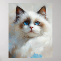 Portret van een elegante Ragdoll kat met blauwe og