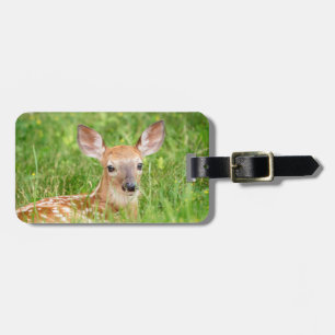 Portret van een Fawn (witte staarten) Bagagelabel