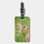 Portret van een Fawn (witte staarten) Bagagelabel (Voorkant verticaal)