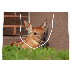 Portret van een Fawn (witte staarten) Groot Cadeauzakje