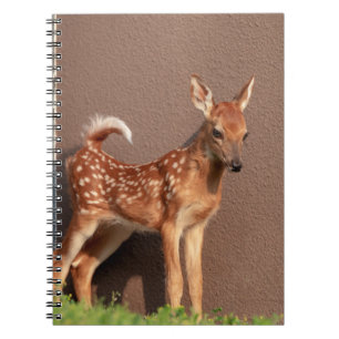 Portret van een Fawn (witte staarten) Notitieboek