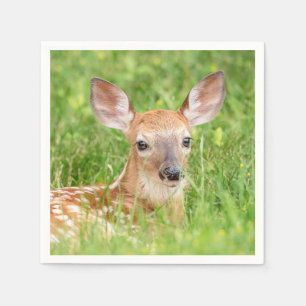 Portret van een Fawn (witte staarten) Servet