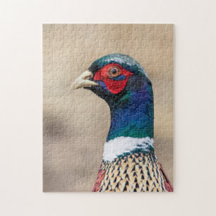 Portret van een fazant legpuzzel