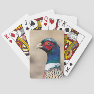 Portret van een fazant pokerkaarten