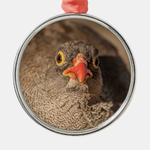Portret van een Grouse Metalen Ornament