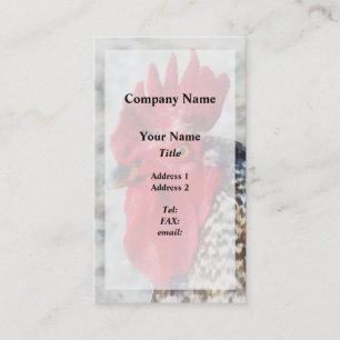 Portret van een Haan Visitekaartje