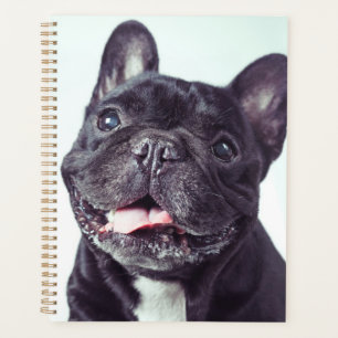 Portret van een Happy French Bulldog Planner