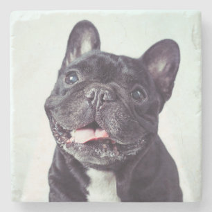 Portret van een Happy French Bulldog Stenen Onderzetter
