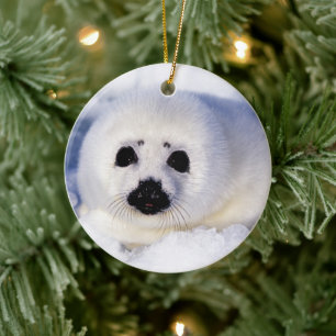 Portret van een Harp Seal Pup Keramisch Ornament