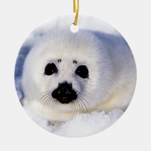 Portret van een Harp Seal Pup Keramisch Ornament (Voorkant)