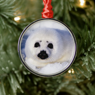 Portret van een Harp Seal Pup Metalen Ornament