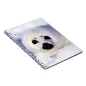 Portret van een Harp Seal Pup Notitieboek (Rechterzijde)