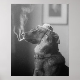 Portret van een hond, 1923. Oude foto Poster