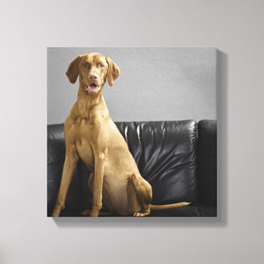 Portret van een hond canvas afdruk (Voorkant)