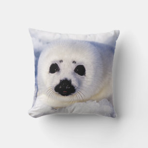 Portret van een jong zeehondje kussen