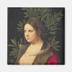 Portret van een jonge vrouw, 1506 magneet