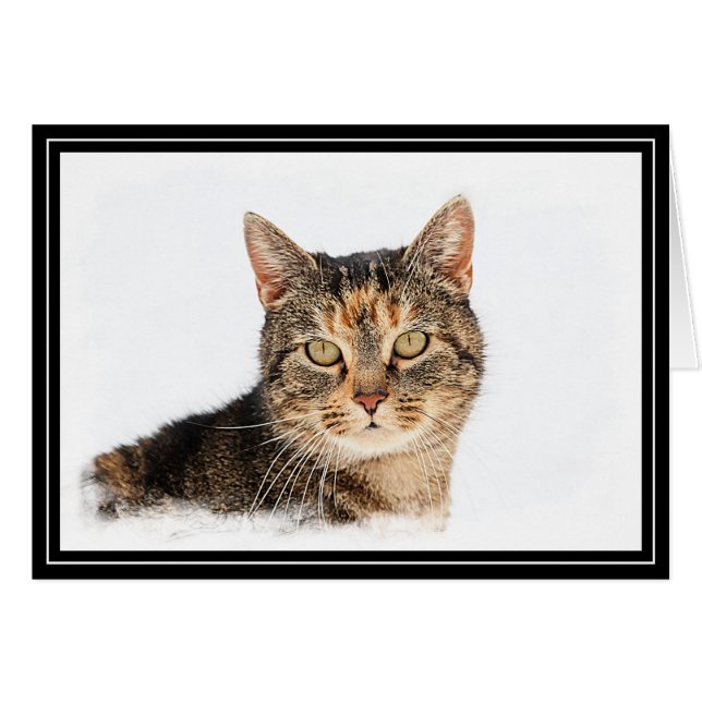 Portret van een kat (Voorkant Horizontaal)