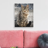 Portret van een kat canvas afdruk (Insitu (Woonkamer))