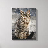 Portret van een kat canvas afdruk (Voorkant)