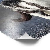 Portret van een kat foto afdruk (Hoek)