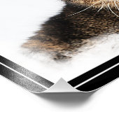 Portret van een kat foto afdruk (Hoek)