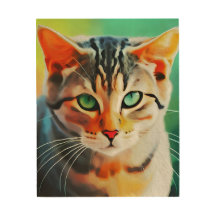 Portret van een kat