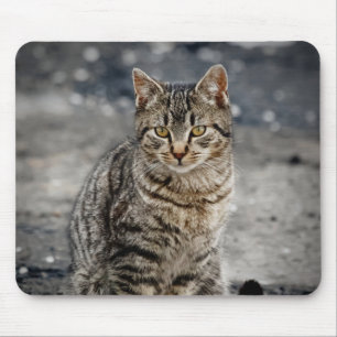 Portret van een kat muismat