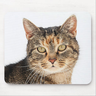 Portret van een kat muismat