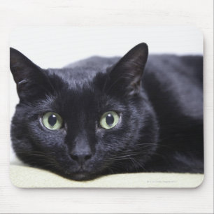 Portret van een kat muismat
