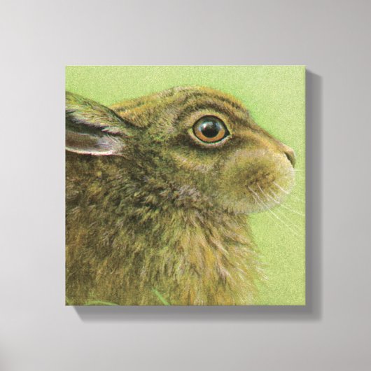 Portret van een konijn grazing boxed canvas print (Voorkant)