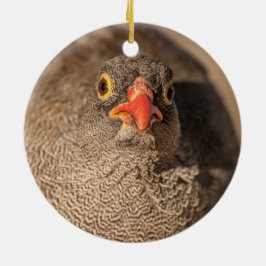 Portret van een Korhoen Keramisch Ornament
