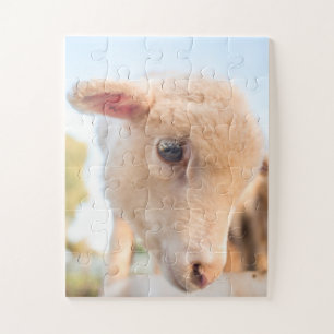 Portret van een lampje legpuzzel