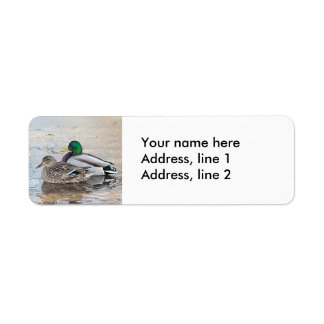 Portret van een mannelijke en vrouw-mallard etiket