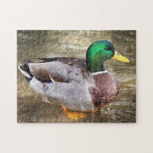 Portret van een mannelijke mallard legpuzzel