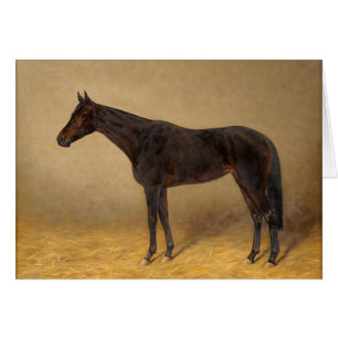 portret van een mooi paard,