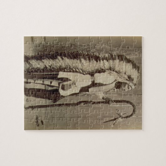 Portret van een Native American van 'Buffalo Bill' Legpuzzel (Horizontaal)