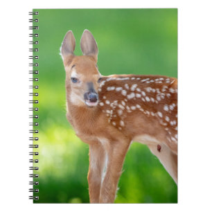 Portret van een Newborn Fawn (witstaarhert) Notitieboek