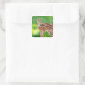 Portret van een Newborn Fawn (witstaarhert) Vierkante Sticker (Tas)