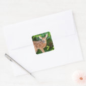 Portret van een Newborn Fawn (witstaarhert) Vierkante Sticker (Envelop)
