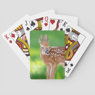 Portret van een Newborn Fawn (witstaarten) Pokerkaarten