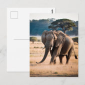 Portret van een olifant briefkaart (Voorkant / Achterkant)