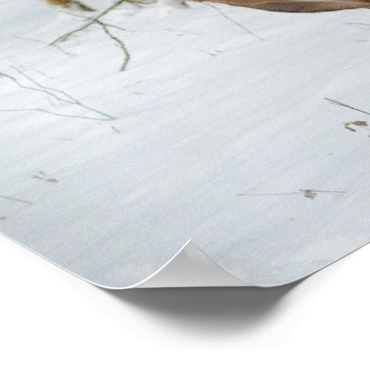 Portret van een onbekend Poster (Hoek)