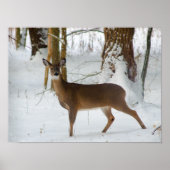 Portret van een onbekend Poster (Voorkant)