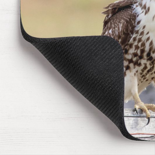 Portret van een onvolgroeide Red Tailed Hawk Muismat (Hoek)