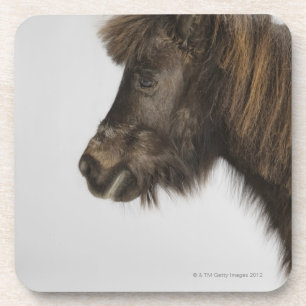 portret van een paard bier onderzetter