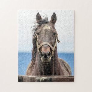Portret van een paard legpuzzel