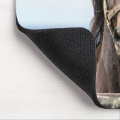 Portret van een paard muismat (Hoek)