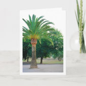 Portret van een palmboom kaart (Voorkant)