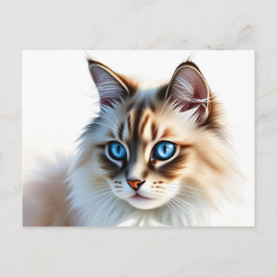 Portret van een pluizige Ragdoll kat met blauwe og Briefkaart