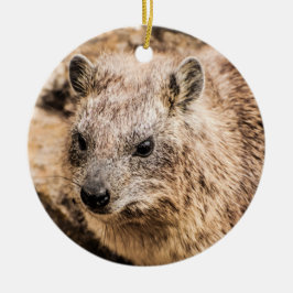 Portret van een Rock Hyrax Keramisch Ornament